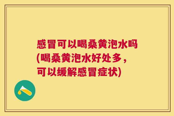 可以喝桑黄泡水吗(喝桑黄泡水好处多,可以缓解症状) 可以喝桑黄泡水吗(喝桑黄泡水好处多,可以缓解症状)
