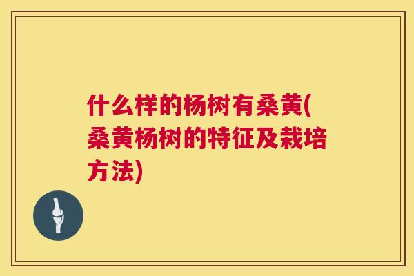 什么样的杨树有桑黄(桑黄杨树的特征及栽培方法) 什么样的杨树有桑黄(桑黄杨树的特征及栽培方法)