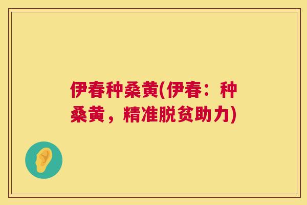 伊春种桑黄(伊春:种桑黄,精准脱贫助力) 伊春种桑黄(伊春:种桑黄,精准脱贫助力)