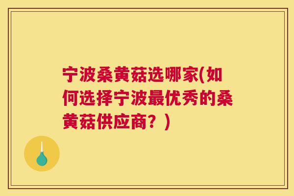 宁波桑黄菇选哪家(如何选择宁波优秀的桑黄菇供应商?) 宁波桑黄菇选哪家(如何选择宁波优秀的桑黄菇供应商?)