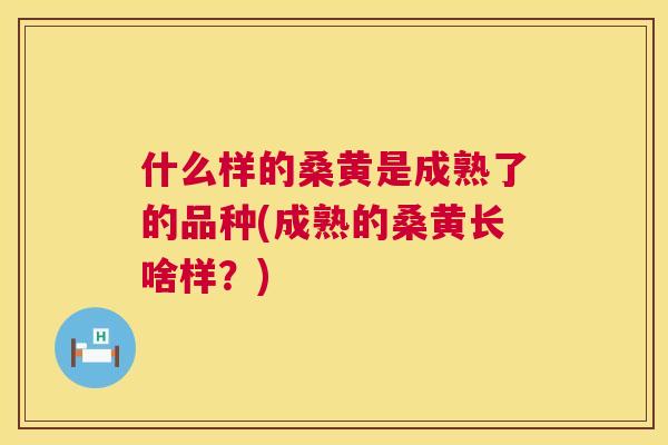 什么样的桑黄是成熟了的品种(成熟的桑黄长啥样?) 什么样的桑黄是成熟了的品种(成熟的桑黄长啥样?)