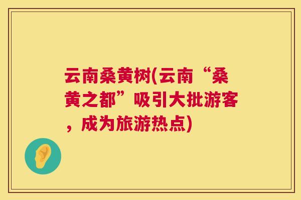云南桑黄树(云南“桑黄之都”吸引大批游客,成为旅游热点) 云南桑黄树(云南“桑黄之都”吸引大批游客,成为旅游热点)