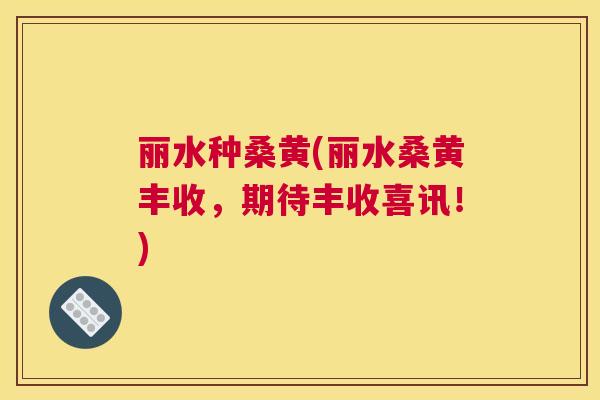 丽水种桑黄(丽水桑黄丰收,期待丰收喜讯!) 丽水种桑黄(丽水桑黄丰收,期待丰收喜讯!)