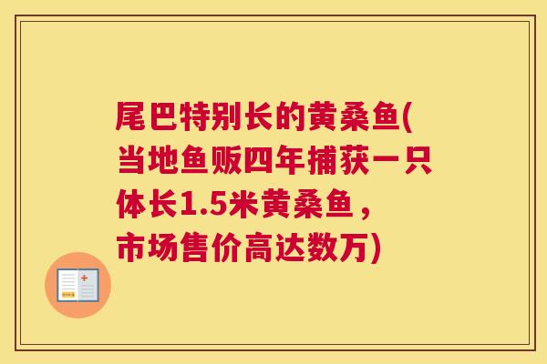 尾巴特别长的黄桑鱼(当地鱼贩四年捕获一只体长1.5米黄桑鱼,市场售价高达数万) 尾巴特别长的黄桑鱼(当地鱼贩四年捕获一只体长1.5米黄桑鱼,市场售价高达数万)