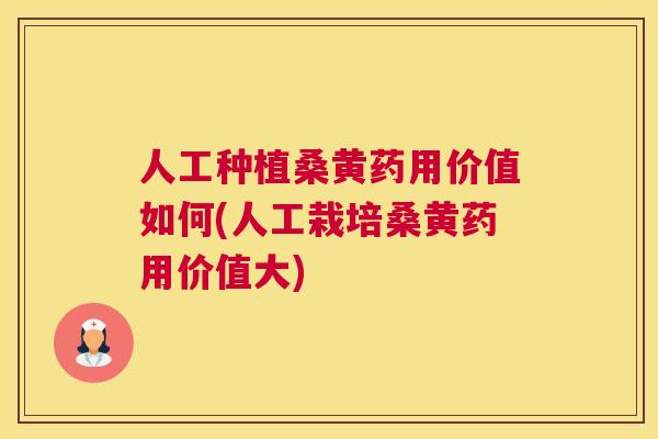 人工种植桑黄药用价值如何(人工栽培桑黄药用价值大)