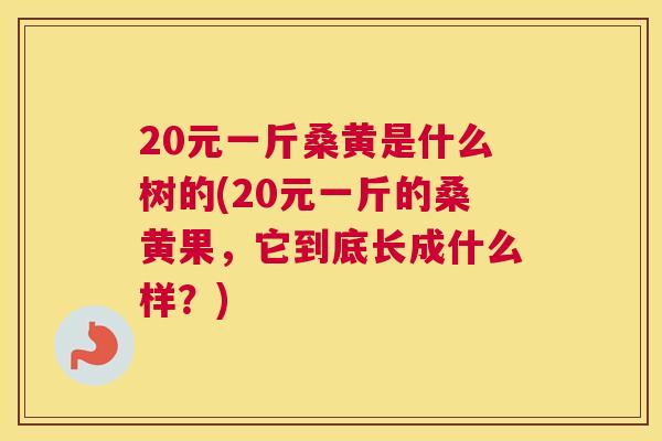 20元一斤桑黄是什么树的(20元一斤的桑黄果,它到底长成什么样?) 20元一斤桑黄是什么树的(20元一斤的桑黄果,它到底长成什么样?)