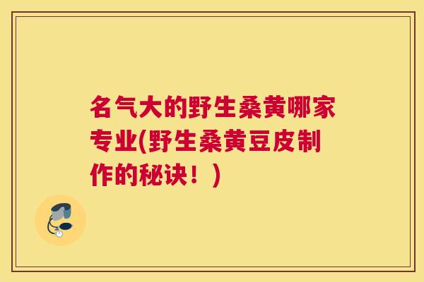 名气大的野生桑黄哪家专业(野生桑黄豆皮制作的秘诀!) 名气大的野生桑黄哪家专业(野生桑黄豆皮制作的秘诀!)