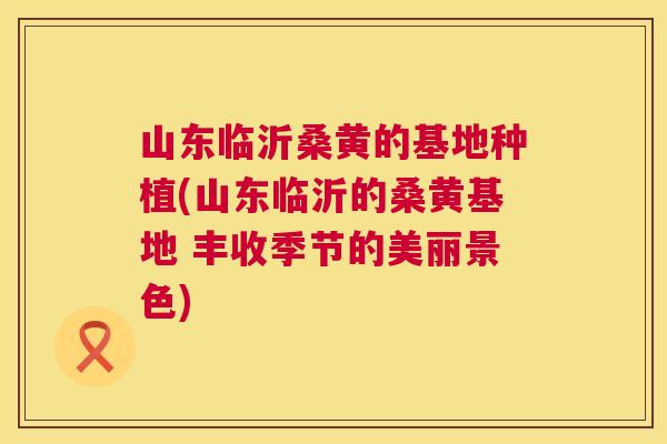 山东临沂桑黄的基地种植(山东临沂的桑黄基地 丰收季节的美丽景色) 山东临沂桑黄的基地种植(山东临沂的桑黄基地 丰收季节的美丽景色)