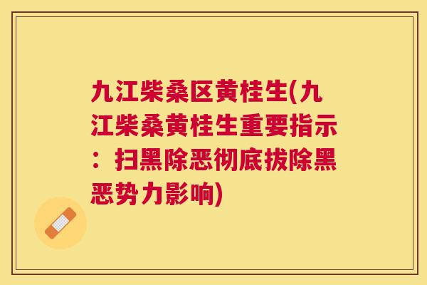 九江柴桑区黄桂生(九江柴桑黄桂生重要指示:扫黑除恶彻底拔除黑恶势力影响) 九江柴桑区黄桂生(九江柴桑黄桂生重要指示:扫黑除恶彻底拔除黑恶势力影响)