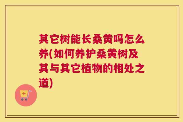 其它树能长桑黄吗怎么养(如何养护桑黄树及其与其它植物的相处之道) 其它树能长桑黄吗怎么养(如何养护桑黄树及其与其它植物的相处之道)