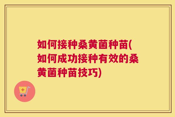 如何接种桑黄菌种苗(如何成功接种有效的桑黄菌种苗技巧) 如何接种桑黄菌种苗(如何成功接种有效的桑黄菌种苗技巧)