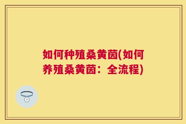 如何种殖桑黄茵(如何养殖桑黄茵：全流程)