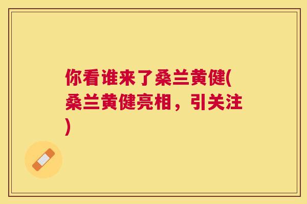 你看谁来了桑兰黄健(桑兰黄健亮相,引关注) 你看谁来了桑兰黄健(桑兰黄健亮相,引关注)