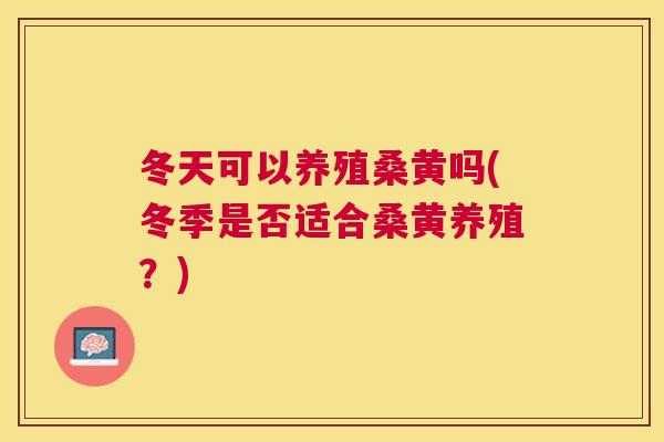 冬天可以养殖桑黄吗(冬季是否适合桑黄养殖?) 冬天可以养殖桑黄吗(冬季是否适合桑黄养殖?)