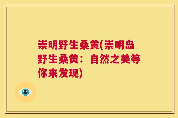 崇明野生桑黄(崇明岛野生桑黄:自然之美等你来发现) 崇明野生桑黄(崇明岛野生桑黄:自然之美等你来发现)