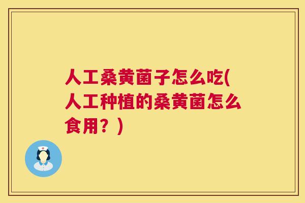 人工桑黄菌子怎么吃(人工种植的桑黄菌怎么食用?) 人工桑黄菌子怎么吃(人工种植的桑黄菌怎么食用?)