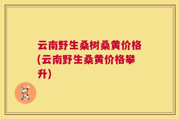 云南野生桑树桑黄价格(云南野生桑黄价格攀升) 云南野生桑树桑黄价格(云南野生桑黄价格攀升)