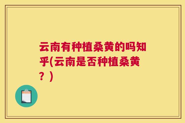 云南有种植桑黄的吗知乎(云南是否种植桑黄?) 云南有种植桑黄的吗知乎(云南是否种植桑黄?)
