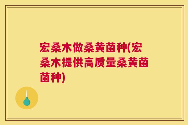 宏桑木做桑黄菌种(宏桑木提供高质量桑黄菌菌种) 宏桑木做桑黄菌种(宏桑木提供高质量桑黄菌菌种)