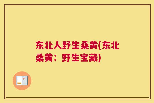 东北人野生桑黄(东北桑黄:野生宝藏) 东北人野生桑黄(东北桑黄:野生宝藏)
