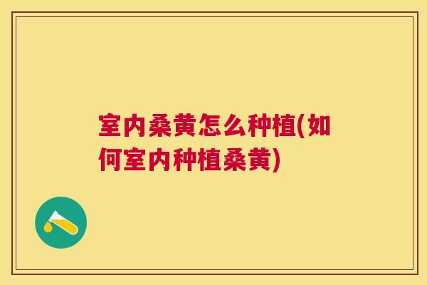 室内桑黄怎么种植(如何室内种植桑黄)