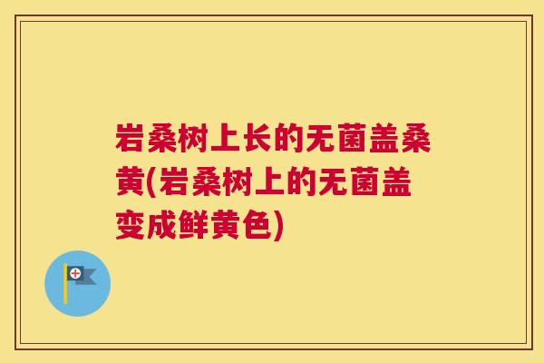 岩桑树上长的无菌盖桑黄(岩桑树上的无菌盖变成鲜黄色) 岩桑树上长的无菌盖桑黄(岩桑树上的无菌盖变成鲜黄色)