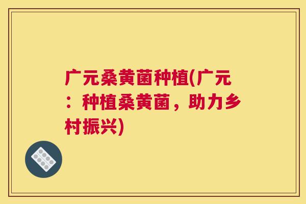 广元桑黄菌种植(广元:种植桑黄菌,助力乡村振兴) 广元桑黄菌种植(广元:种植桑黄菌,助力乡村振兴)
