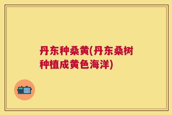 丹东种桑黄(丹东桑树种植成黄色海洋) 丹东种桑黄(丹东桑树种植成黄色海洋)