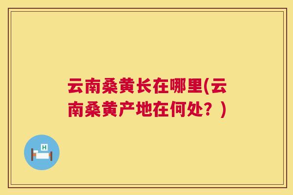 云南桑黄长在哪里(云南桑黄产地在何处?) 云南桑黄长在哪里(云南桑黄产地在何处?)