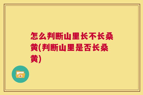 怎么判断山里长不长桑黄(判断山里是否长桑黄) 怎么判断山里长不长桑黄(判断山里是否长桑黄)