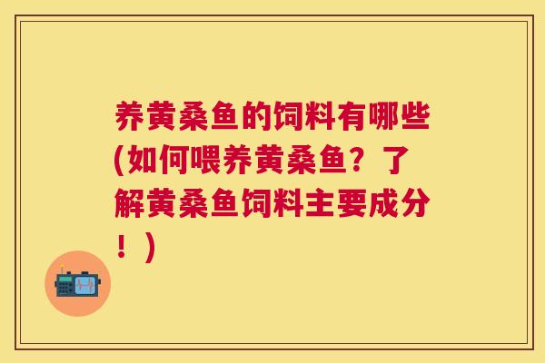 养黄桑鱼的饲料有哪些(如何喂养黄桑鱼?了解黄桑鱼饲料主要成分!) 养黄桑鱼的饲料有哪些(如何喂养黄桑鱼?了解黄桑鱼饲料主要成分!)