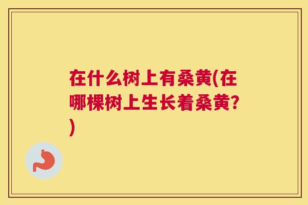 在什么树上有桑黄(在哪棵树上生长着桑黄?) 在什么树上有桑黄(在哪棵树上生长着桑黄?)