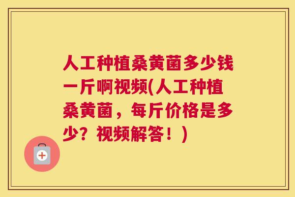人工种植桑黄菌多少钱一斤啊视频(人工种植桑黄菌,每斤价格是多少?视频解答!) 人工种植桑黄菌多少钱一斤啊视频(人工种植桑黄菌,每斤价格是多少?视频解答!)