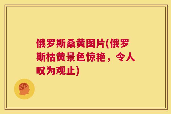 俄罗斯桑黄图片(俄罗斯枯黄景色惊艳,令人叹为观止) 俄罗斯桑黄图片(俄罗斯枯黄景色惊艳,令人叹为观止)
