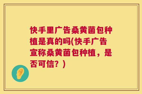 快手里广告桑黄菌包种植是真的吗(快手广告宣称桑黄菌包种植,是否可信?) 快手里广告桑黄菌包种植是真的吗(快手广告宣称桑黄菌包种植,是否可信?)