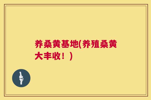 养桑黄基地(养殖桑黄大丰收!) 养桑黄基地(养殖桑黄大丰收!)