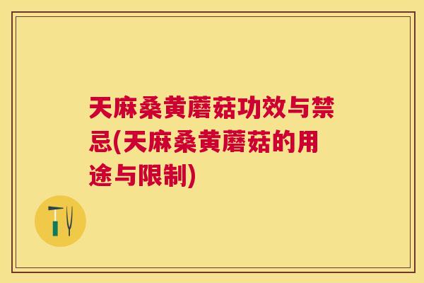 天麻桑黄蘑菇功效与禁忌(天麻桑黄蘑菇的用途与限制) 天麻桑黄蘑菇功效与禁忌(天麻桑黄蘑菇的用途与限制)