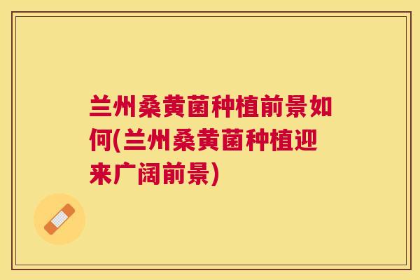 兰州桑黄菌种植前景如何(兰州桑黄菌种植迎来广阔前景) 兰州桑黄菌种植前景如何(兰州桑黄菌种植迎来广阔前景)