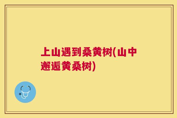 上山遇到桑黄树(山中邂逅黄桑树) 上山遇到桑黄树(山中邂逅黄桑树)