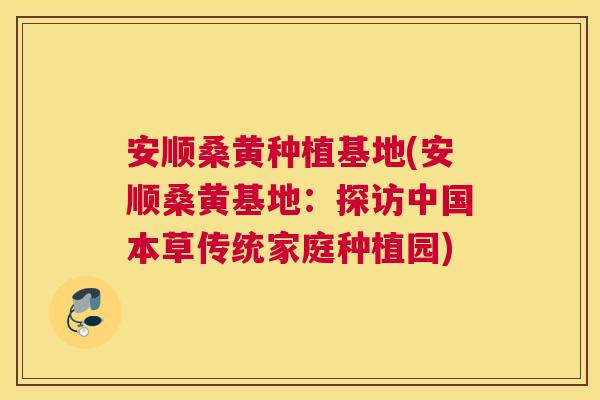 安顺桑黄种植基地(安顺桑黄基地:探访中国本草传统家庭种植园) 安顺桑黄种植基地(安顺桑黄基地:探访中国本草传统家庭种植园)