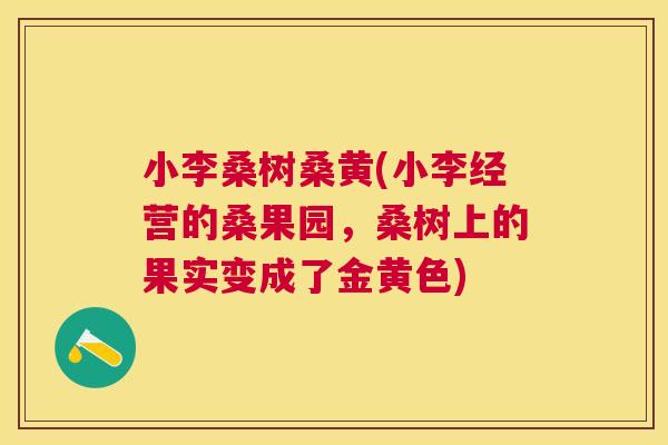 小李桑树桑黄(小李经营的桑果园,桑树上的果实变成了金黄色) 小李桑树桑黄(小李经营的桑果园,桑树上的果实变成了金黄色)