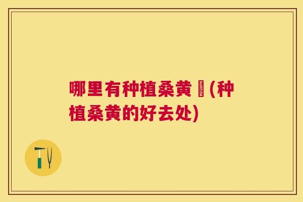 哪里有种植桑黄旳(种植桑黄的好去处) 哪里有种植桑黄旳(种植桑黄的好去处)