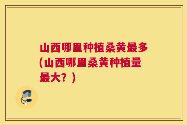 山西哪里种植桑黄多(山西哪里桑黄种植量大？)