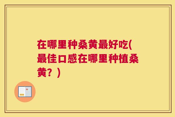 在哪里种桑黄好吃(佳口感在哪里种植桑黄?) 在哪里种桑黄好吃(佳口感在哪里种植桑黄?)