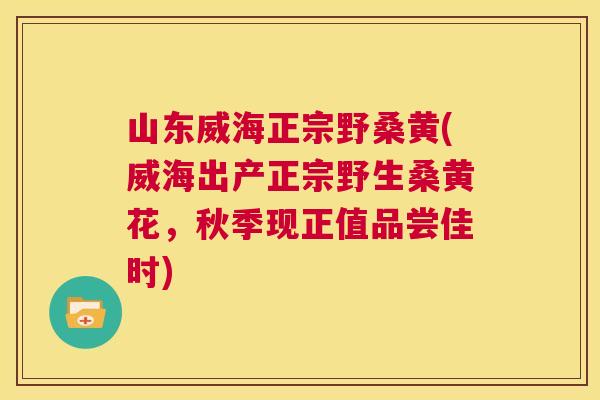 山东威海正宗野桑黄(威海出产正宗野生桑黄花,秋季现正值品尝佳时) 山东威海正宗野桑黄(威海出产正宗野生桑黄花,秋季现正值品尝佳时)