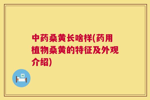 桑黄长啥样(药用植物桑黄的特征及外观介绍) 桑黄长啥样(药用植物桑黄的特征及外观介绍)