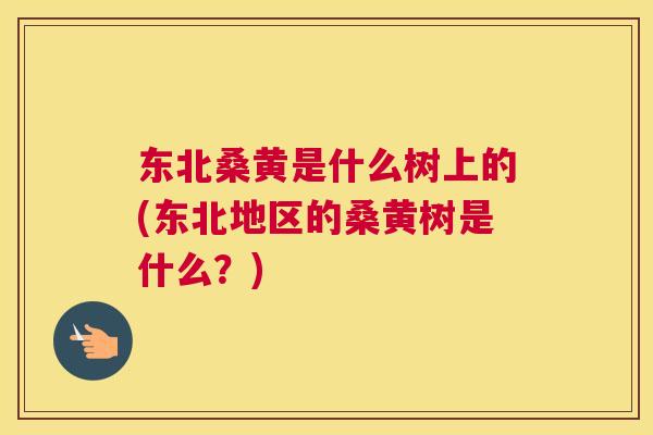 东北桑黄是什么树上的(东北地区的桑黄树是什么?) 东北桑黄是什么树上的(东北地区的桑黄树是什么?)