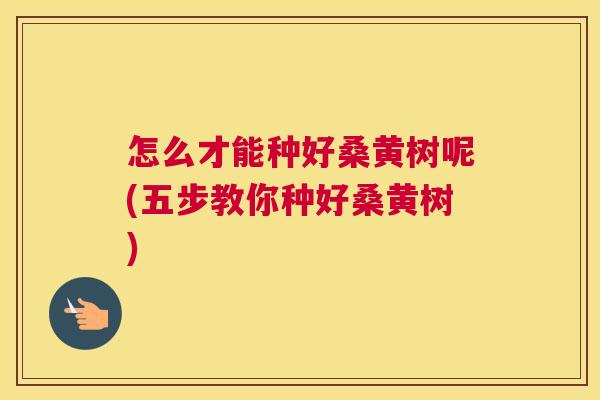怎么才能种好桑黄树呢(五步教你种好桑黄树)