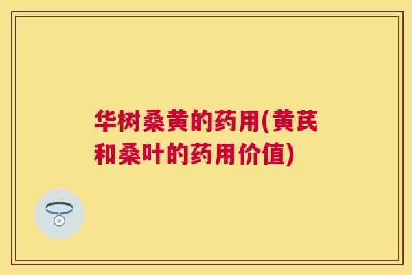 华树桑黄的药用(黄芪和桑叶的药用价值) 华树桑黄的药用(黄芪和桑叶的药用价值)