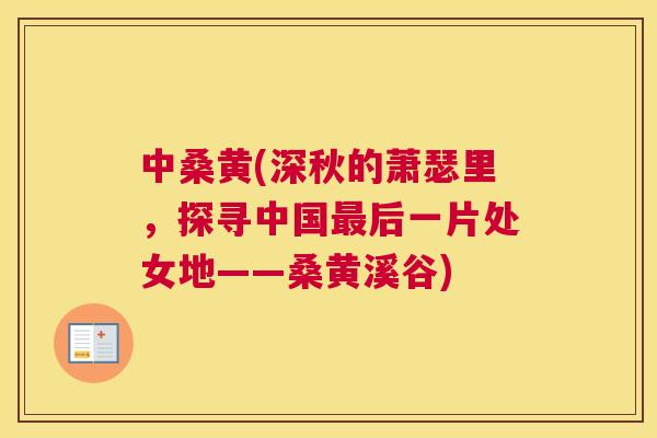 中桑黄(深秋的萧瑟里,探寻中国后一片处女地——桑黄溪谷) 中桑黄(深秋的萧瑟里,探寻中国后一片处女地——桑黄溪谷)